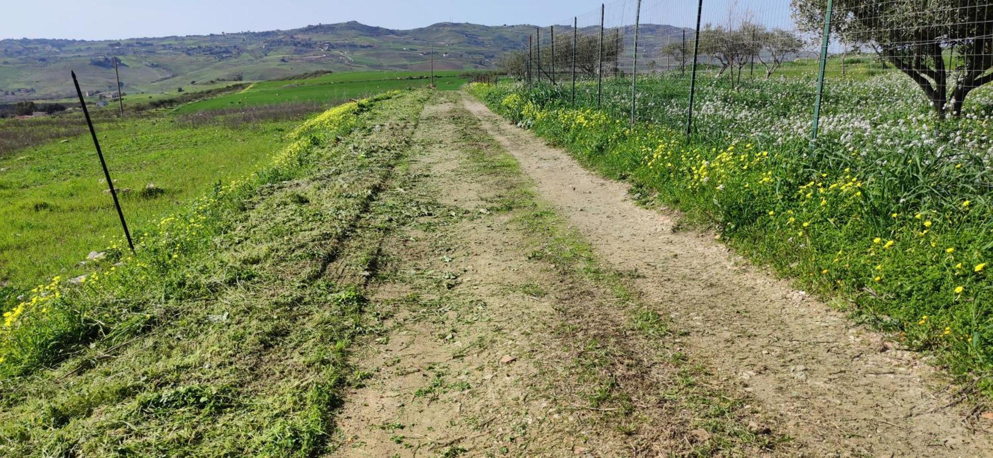 B&B Della Via Francigena Agrigento Exterior foto